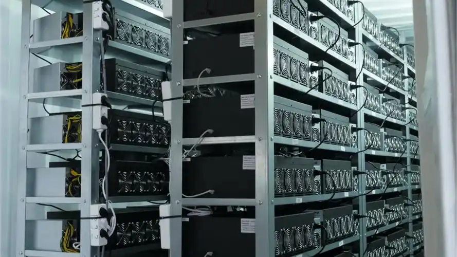 A miner examining their equipment in a large-scale mining farm, highlighting the human element in maintaining these complex machines.