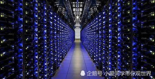 Northern Lights Mining Farm hosting ASICs efficiently