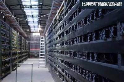 High-Tech Bitcoin Mining Farm with Hosting Facilities